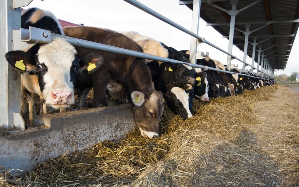 Is it time for a health check on your farm buildings?