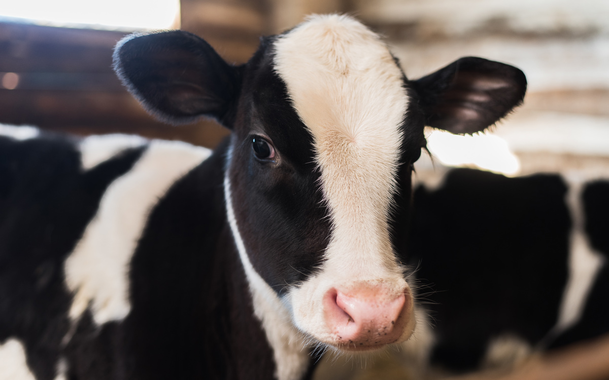 Is it time for a health check on your farm buildings?