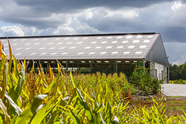 Why Eternit FarmTec is the ideal solution for your agricultural building 