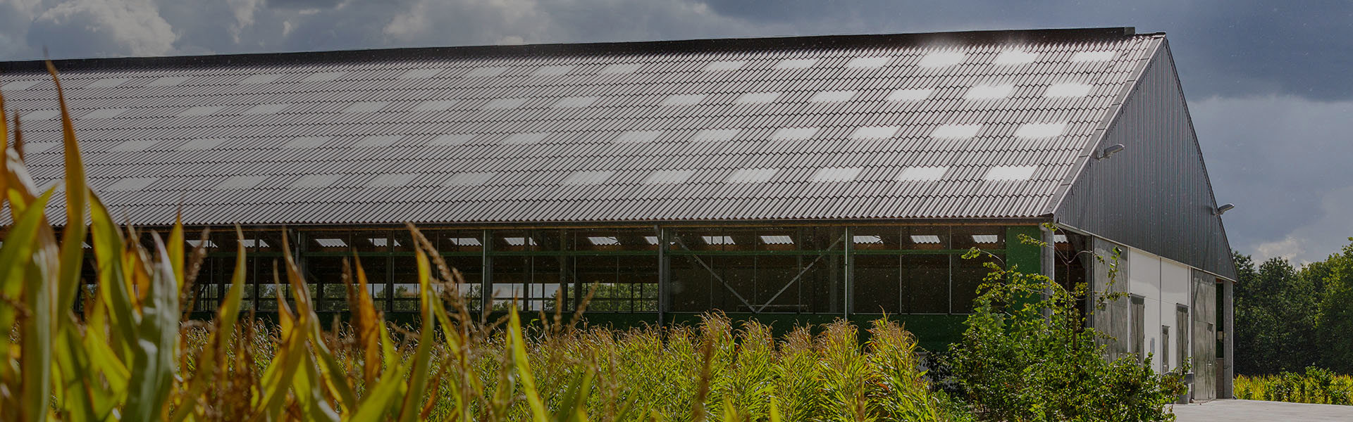 FarmTec Reference 3