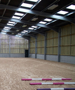 equestrian_case_study.jpg